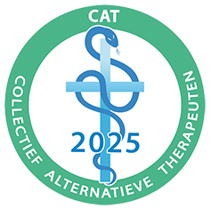 Cat virtueelschild png 2025